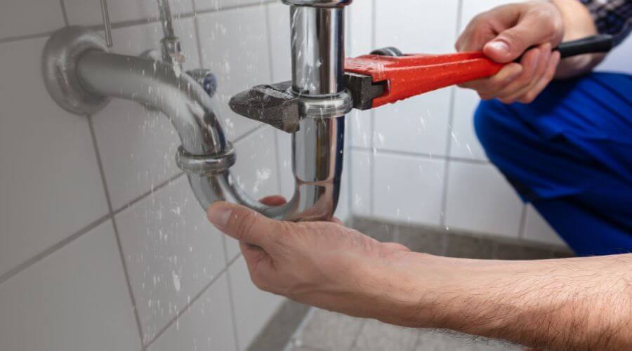 Professional Leak Detection services in Whitsett, TX